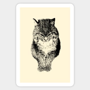 Bobcat Sticker